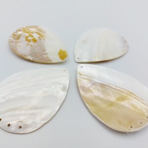 Könnte beinhalten: Vier weiße und goldene, irisierende Muscheln mit gebohrten Löchern. Die Muscheln sind tropfenförmig und haben eine perlmuttartige Oberfläche.