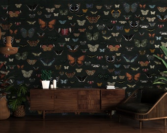 Dark Butterfly Collection Wallpaper, Dark Background Butterflies Wallpaper, Black Brown Green Blue Background Butterflies Wallpaper Mural