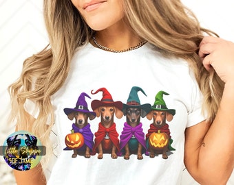 May include: Four dachshund dogs dressed as witches for Halloween. Each dog is wearing a different colored hat and cape. They are holding pumpkins in their paws.