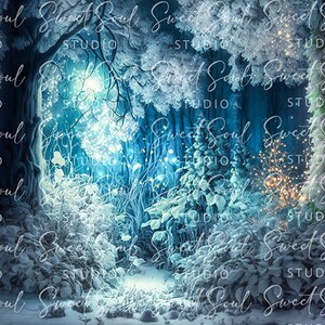 A Winter Fairy Digital Background
