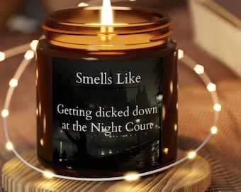 Night Court ACOTAR Candle, Rhysand Fantasy Book Lover, Booktok Mischievous Humor Scented Soy Candle