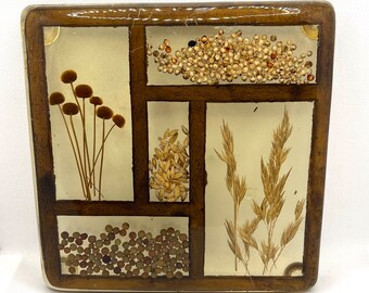 Vintage Acrylic Lucite Dried Flowers Seeds Grains Wheat Counter Trivet Spoon Rest