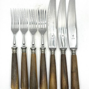 Vintage Set Of 7 Flatware Horn Or Bone Handles Nicht Rostend Knives Forks