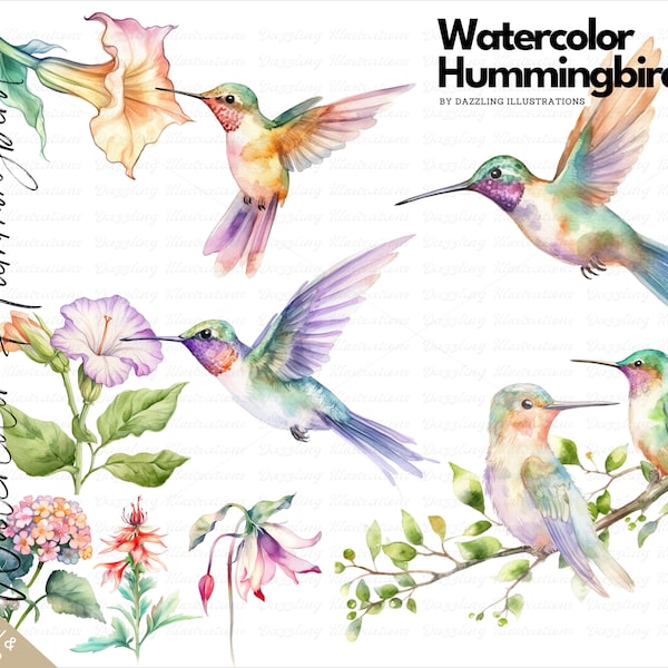 Watercolor Hummingbird Set with Flowers | watercolor birds, parrot PNG, nature art, nursery art, printables, bird png, bird download