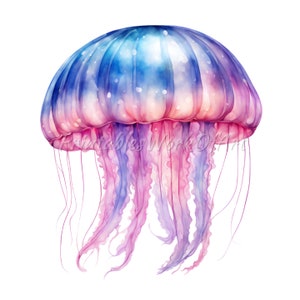 8 Jellyfish Clipart Watercolor: Sea Jelly PNG, Printable Junk Journal Art, High-Quality Digital Download, Commercial Use, Ocean Mug, Sticker