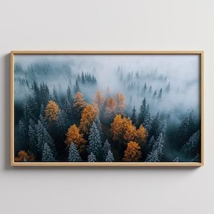 Snowy Nature Poster: Nordic Winter Forest, Nordic Photography of Misty Snowy Forest, Photo of Snowy Landscape, Large Winter Forest Print
