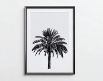 May include: Black and white framed print featuring a palm tree. The image shows a detailed view of the palm tree's trunk and fronds against a white background. The frame is black and rectangular, adding a modern touch to the artwork.