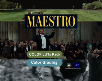 Maestro Movie LUT | Cinematic Lut | Adobe Premiere | Davinci resolve | 4k Video | Film look | Video Preset