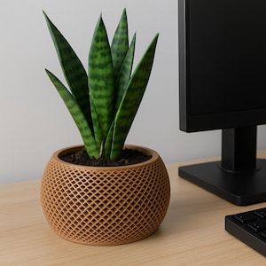 Könnte beinhalten: Eine Bogenhanfpflanze mit langen, grünen Blättern und dunkelgrünen Streifen in einem runden, braunen Topf mit Gittermuster. Die Pflanze steht auf einer hellen Holzoberfläche, in der Nähe eines schwarzen Computermonitors und einer Tastatur.