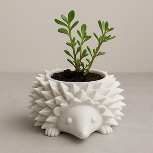 May include: A white ceramic hedgehog planter with a spiky design, holding a small succulent plant. The planter features a detailed face and feet. The plant has green leaves and is potted in dark soil. A decorative item for home decor, suitable for a windowsill.