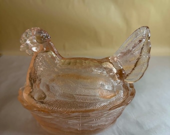 Pink Hen On Nest