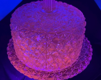 Daisy and Button Uraium Key Lime Butter Dish