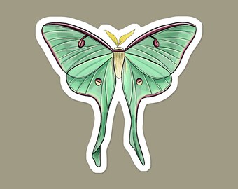 Luna Moth Insect Lover Vinyl Sticker | Entomology Bug Lover Gift | Laptop Sticker | Water Bottle Sticker | Car Decal