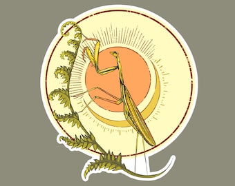 Praying Mantis | Fern | Nature Inspired | Vinyl Sticker | Insect Lover Laptop Sticker | Entomology Fan Water Bottle Sticker | Car Decal