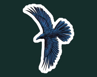 Flying Crow Raven Black Bird Vinyl Sticker | Bird Lover Laptop Sticker | Water Bottle Sticker | Car Decal