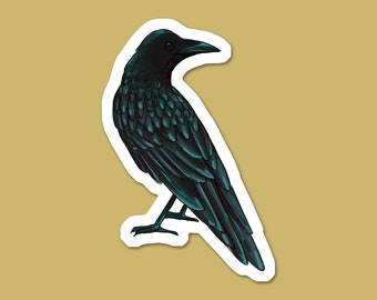 Crow Raven Black Bird Vinyl Sticker | Bird Lover Laptop Sticker | Water Bottle Sticker | Car Decal