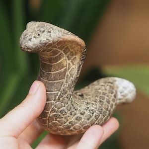 Può includere: Statuetta di cobra intagliata a mano, nei toni del beige e del marrone. Il serpente è raffigurato in una posa di attacco, con intricati dettagli di squame e motivi. La statuetta è tenuta in mano, con uno sfondo verde e marrone sfocato.