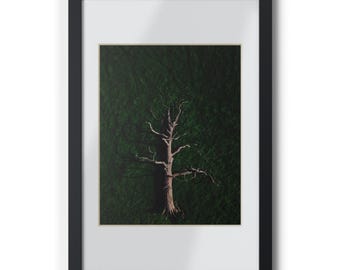 Tree Framed Poster | Black Frame