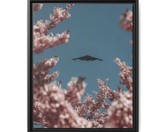 Cherry Blossoms with Stealth Bomber Matte Canvas Framed | Wall Art