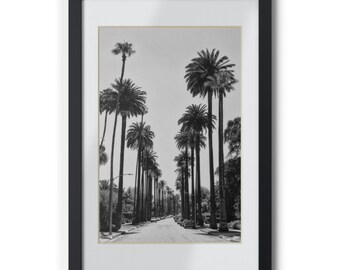 Black Palm Trees Photo Poster | Framed Wall Art