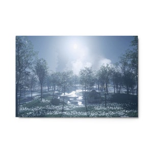 Ethereal Forestry (Metal Print)