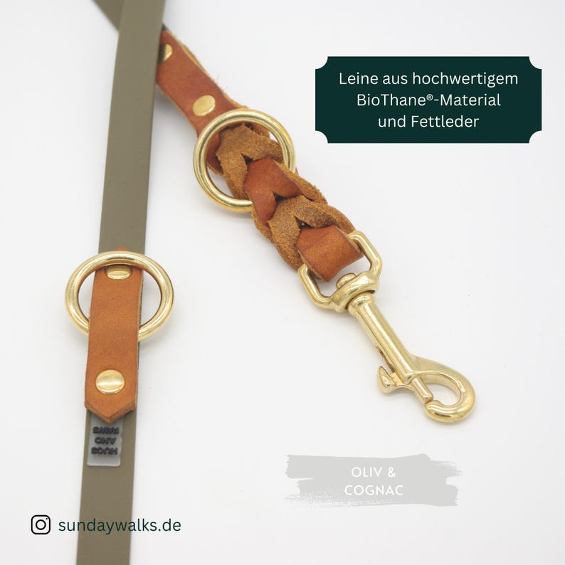 May include: Olive green and cognac leather dog leash with gold-toned hardware. The leash features a braided leather section and a sturdy clasp. The text on the image reads "Leine aus hochwertigem BioThane&reg;-Material und Fettleder."