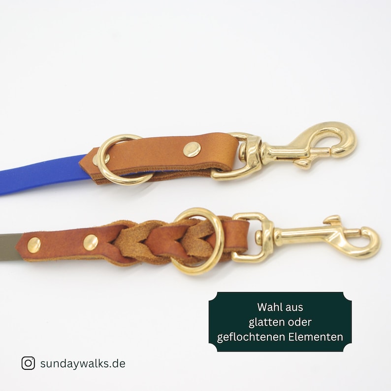 May include: Two dog leashes with brass hardware. One leash is blue and brown leather, the other is olive green and braided brown leather. The leashes have gold-colored clasps and rings. The image includes text in German.