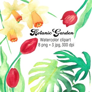 Aquarell Blumen Clipart, Handgemalte Blumen Clipart, botanischer Garten Aquarell Druck, Blumen Aquarell Illustration, Wohnzimmer Deko