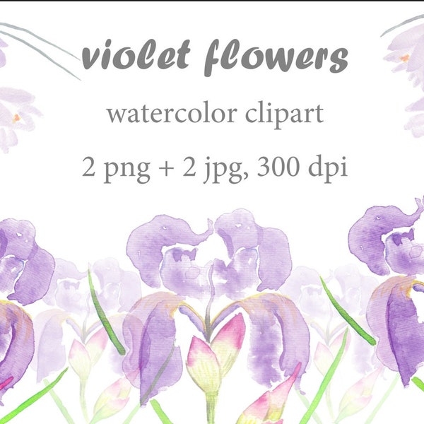 violet flower watercolor print, purple flower watercolor illustration, pale flower, livingroom decor, Hand-Painted Flower Clipart