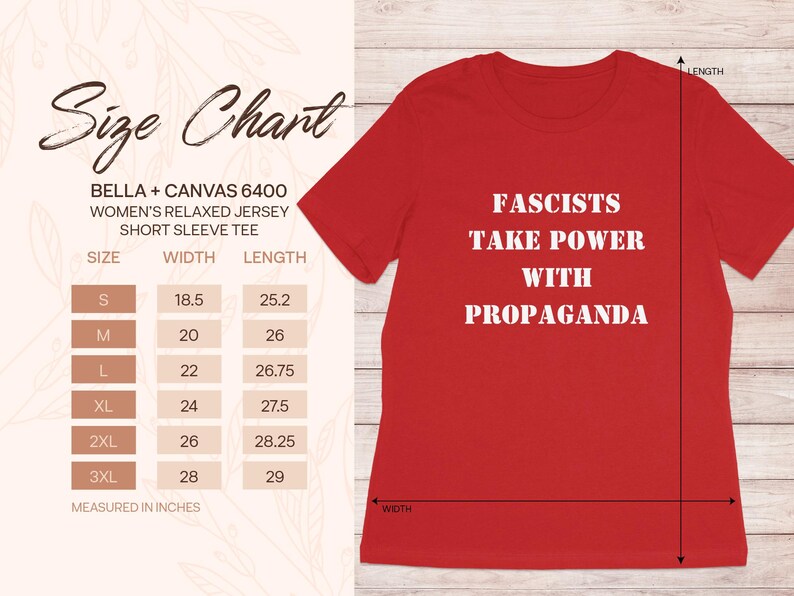 Political Shirt - Fascists Take Power From Propaganda Tee, Mug, Political Statement ,Anti Fascism TShirt, Mug, Awareness T Shirt