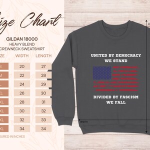 United by Democracy We Stand - Vintage American Flag TShirt, USA Patriotic Shirt, Unisex and Women's Tee, Sweatshirt, Hoodie
