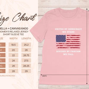 United by Democracy We Stand - Vintage American Flag TShirt, USA Patriotic Shirt, Unisex and Women's Tee, Sweatshirt, Hoodie