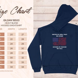 United by Democracy We Stand - Vintage American Flag TShirt, USA Patriotic Shirt, Unisex and Women's Tee, Sweatshirt, Hoodie