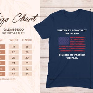 United by Democracy We Stand - Vintage American Flag TShirt, USA Patriotic Shirt, Unisex and Women's Tee, Sweatshirt, Hoodie