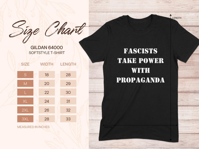 Political Shirt - Fascists Take Power From Propaganda Tee, Mug, Political Statement ,Anti Fascism TShirt, Mug, Awareness T Shirt