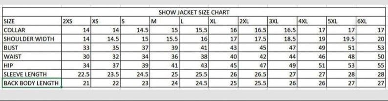 Chaleco Bling Western Show: combinación de camisa de espectáculo de tejido elástico imagen 3
