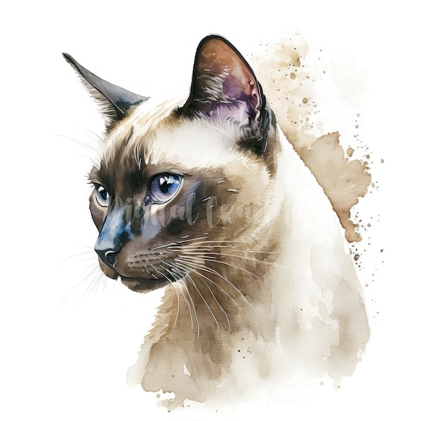 Siamese Cat Clipart - 10 High Quality JPGs - Digital Download - Card Making, Clip Art, Digital Paper Craft