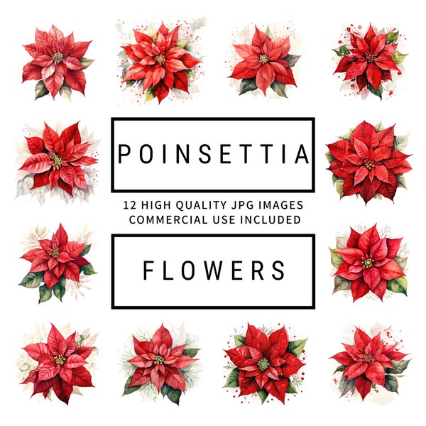 Poinsettia Flower Clipart - 12 High Quality JPGs, Memory Book, Junk Journals, Scrapbooks, Digital Planners, Commercial Use, Digital Download