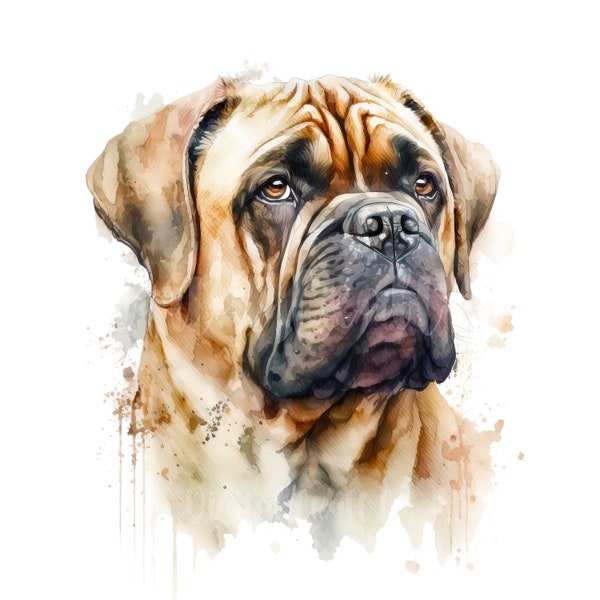 Bullmastiff Clipart - 10 High Quality JPGs - Digital Paper Crafting, Digital Planner, Apparel, Watercolor - Digital Download