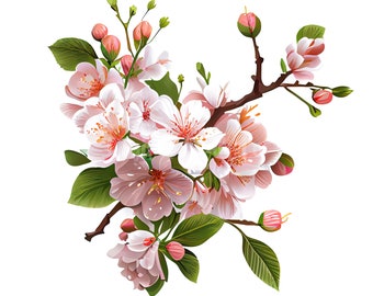 Cherry Blossom Clipart  - 10 High Quality JPGs - Digital Downloads - Card Making, Mixed Media, Digital Paper Craft