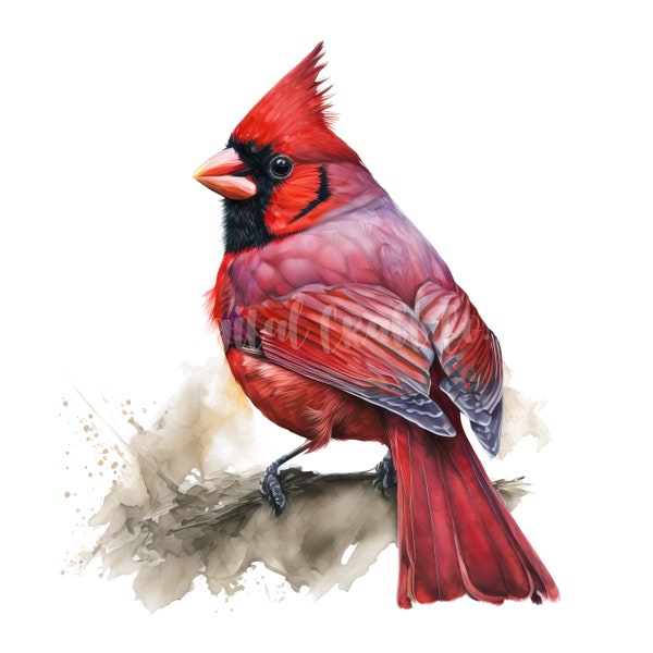 Red Cardinal Clipart - 15 High Quality JPGs - Digital Download - Card Making, Clip Art, Digital Paper Craft