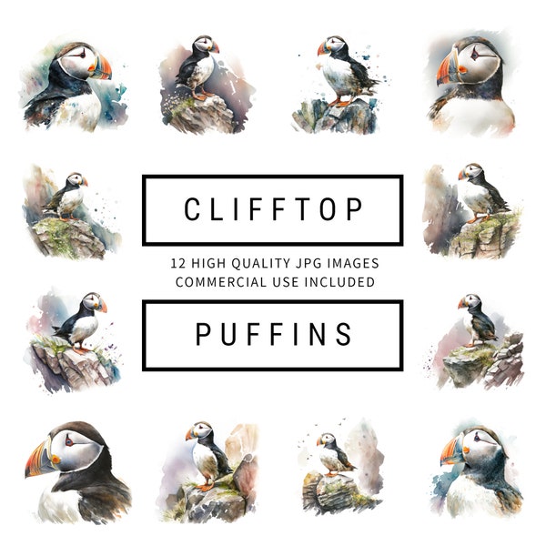 Clifftop Puffins Clipart - 12 High Quality JPGs - Digital Planner, Journaling, Watercolor Art, Wall Art, Commercial Use - Digital Download