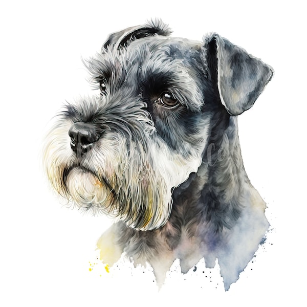 Miniature Schnauzer Clipart - 13 High Quality JPGs - Digital Download - Card Making, Clip Art, Digital Paper Craft