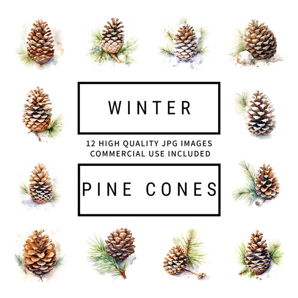 Winter Pine Cones Clipart - 12 High Quality JPGs, Digital Planner, Junk Journal, Wall Art, Greetings Cards, Commercial Use, Digital Download