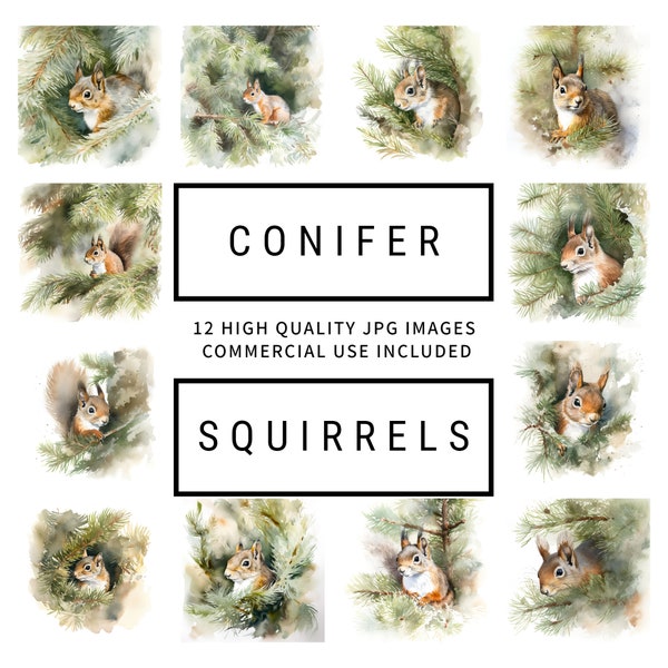 Cute Conifer Squirrels - 12 High Quality JPGs - Digital Planners, Junk Journals, Wall Art,  Scrapbooking, Commercial Use, Digital Download