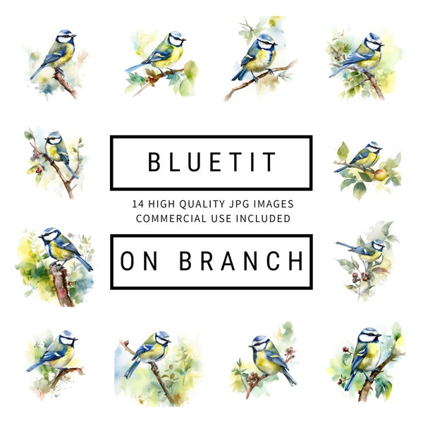 Bluetit On A Branch Clipart - 14 High Quality JPGs - Digital Planner, Journaling, Watercolor, Apparel, Commercial Use - Digital Download