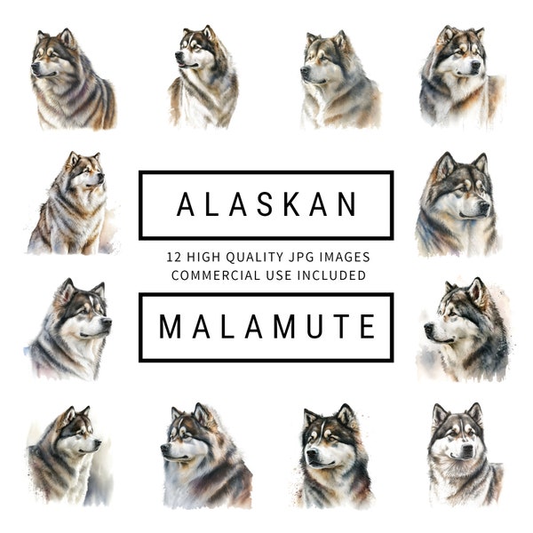 Alaskan Malamute Clipart - 14 High Quality JPGs - Digital Planner, Junk Journaling, Watercolor, Wall Art, Commercial Use, Digital Download