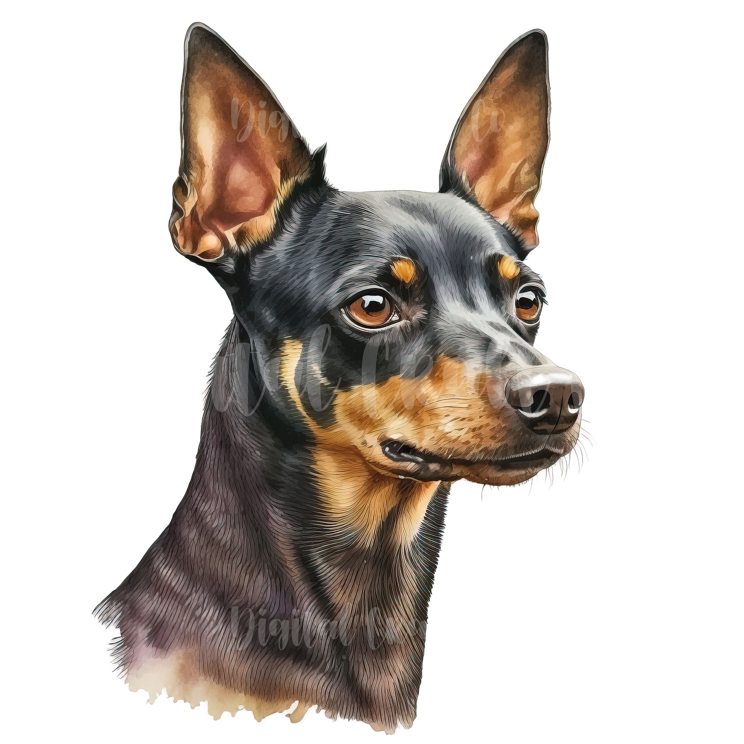 Peluche pinscher cheap
