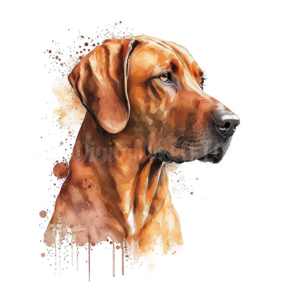 Rhodesian Ridgeback - Etsy UK