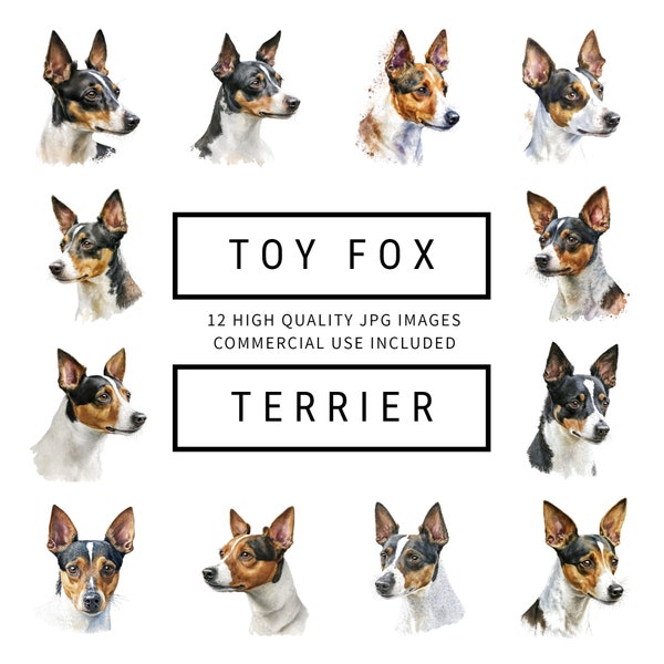 Toy Fox Terrier Clipart - 12 High Quality JPGs - Digital Planner, Junk Journaling, Watercolor, Wall Art, Commercial Use, Digital Download